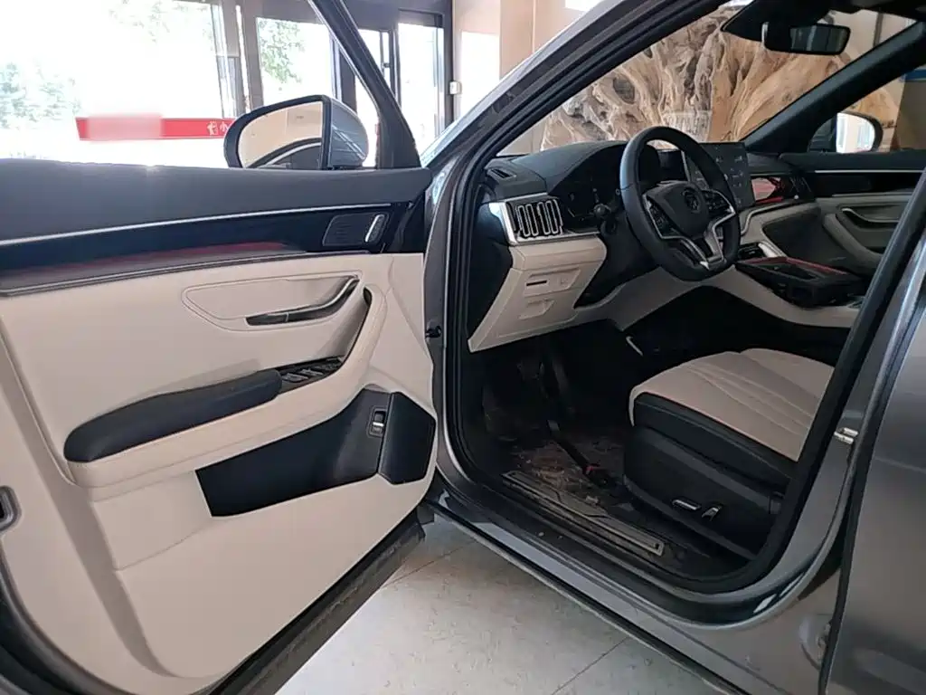 BYD PLUS New Energy 2023 — фото 16