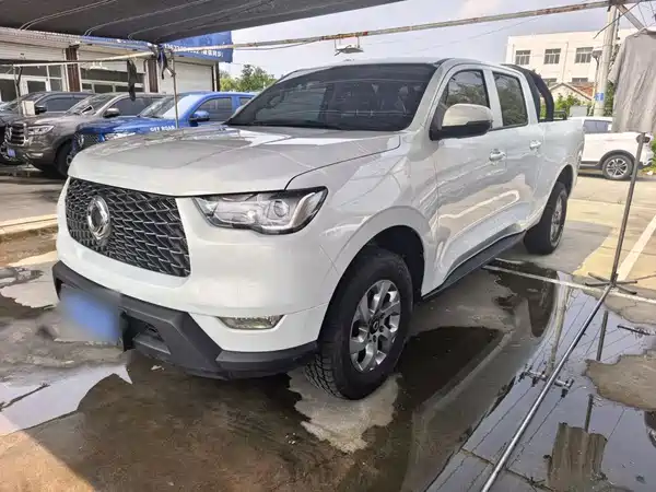 Great Wall Poer 2021