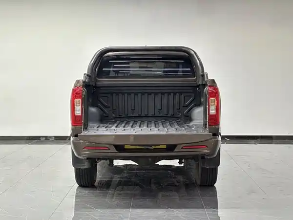 Great Wall Poer 2021