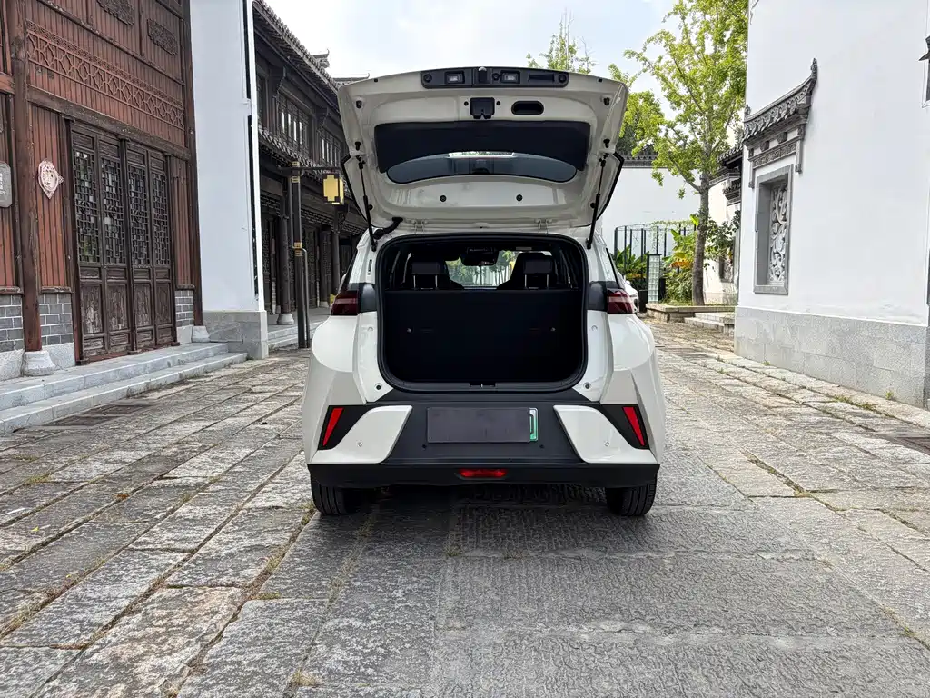 BYD Seagull 2025