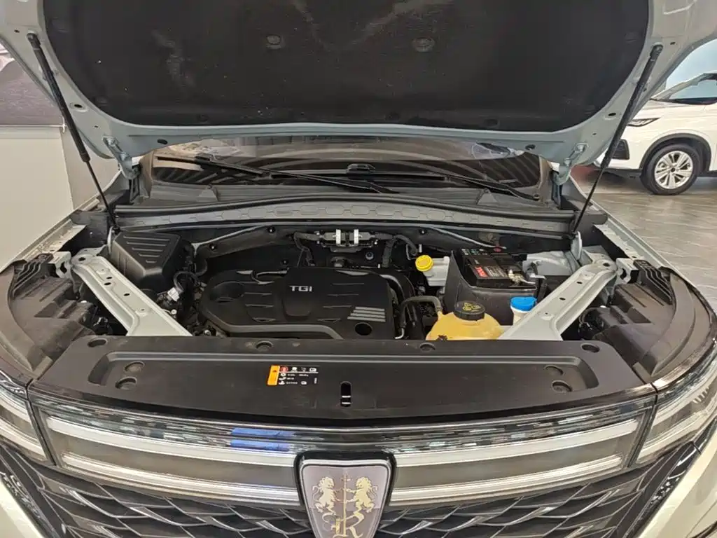 Roewe RX5 MAX 2021 — фото 20