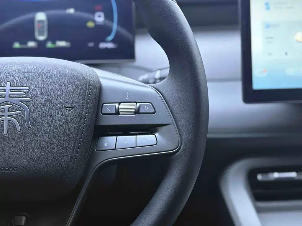 BYD Qin PLUS 2025 — фото 24