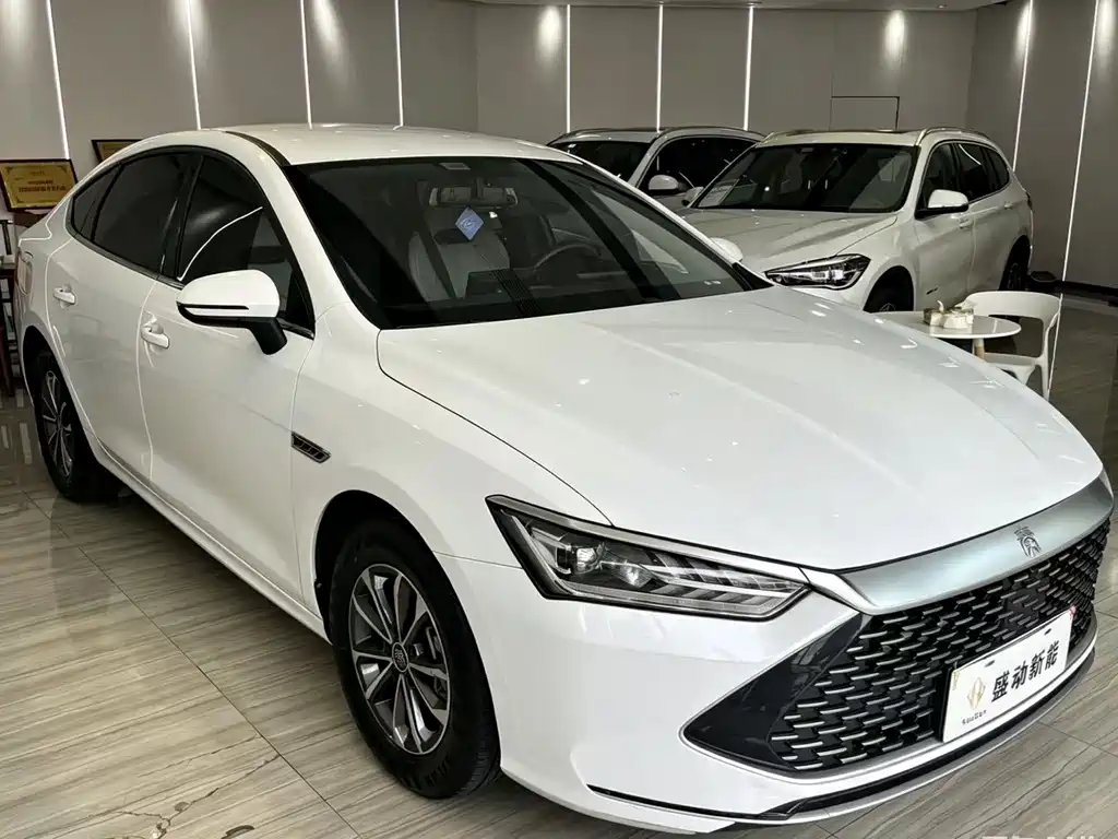 BYD Qin PLUS 2024 — фото 3