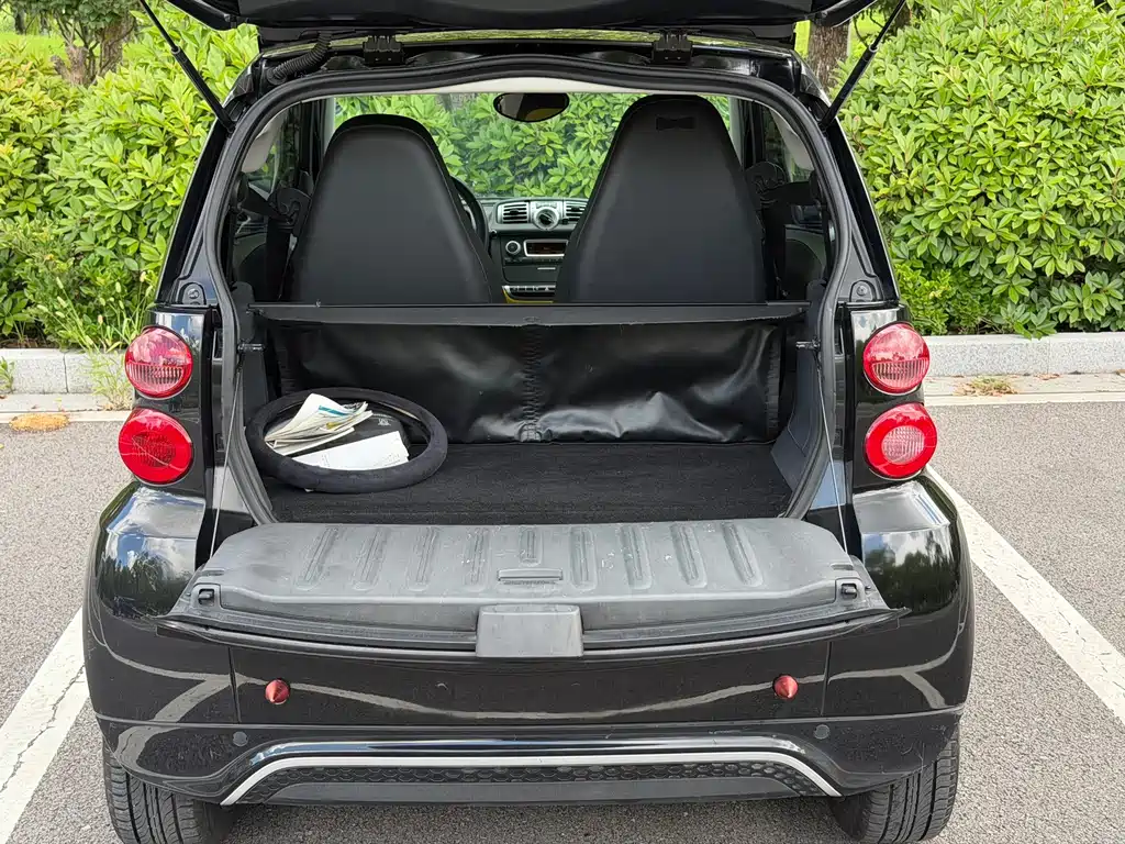 smart fortwo 2014 — фото 16