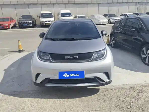BYD Dolphin 2022