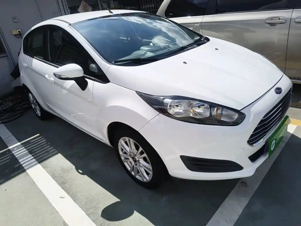 Ford Fiesta 2014 — фото 4