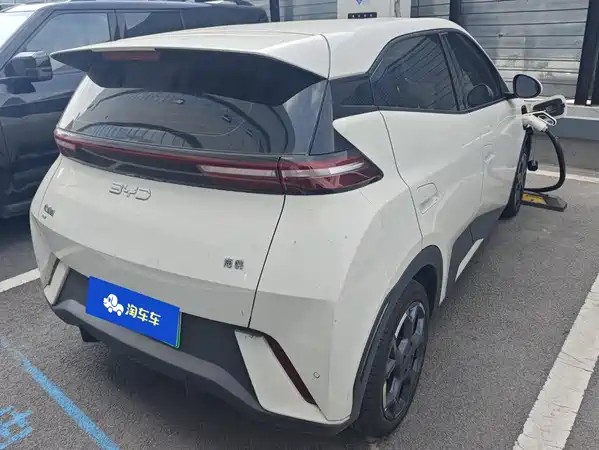 BYD Seagull 2024