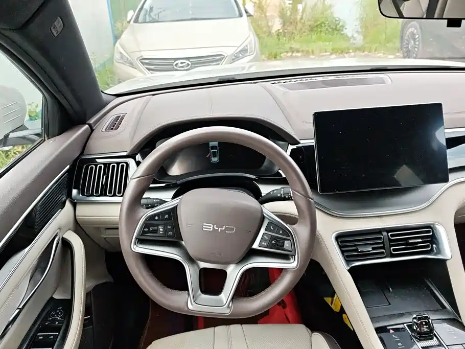 BYD Song PLUS New Energy 2025 — фото 15