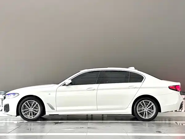 BMW 5 Series 2020