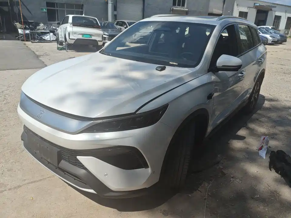 BYD Song Pro New Energy 2025 — фото 1