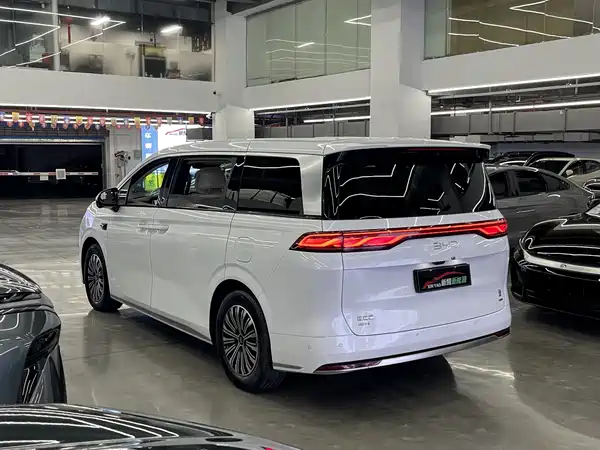 BYD Summer 2025