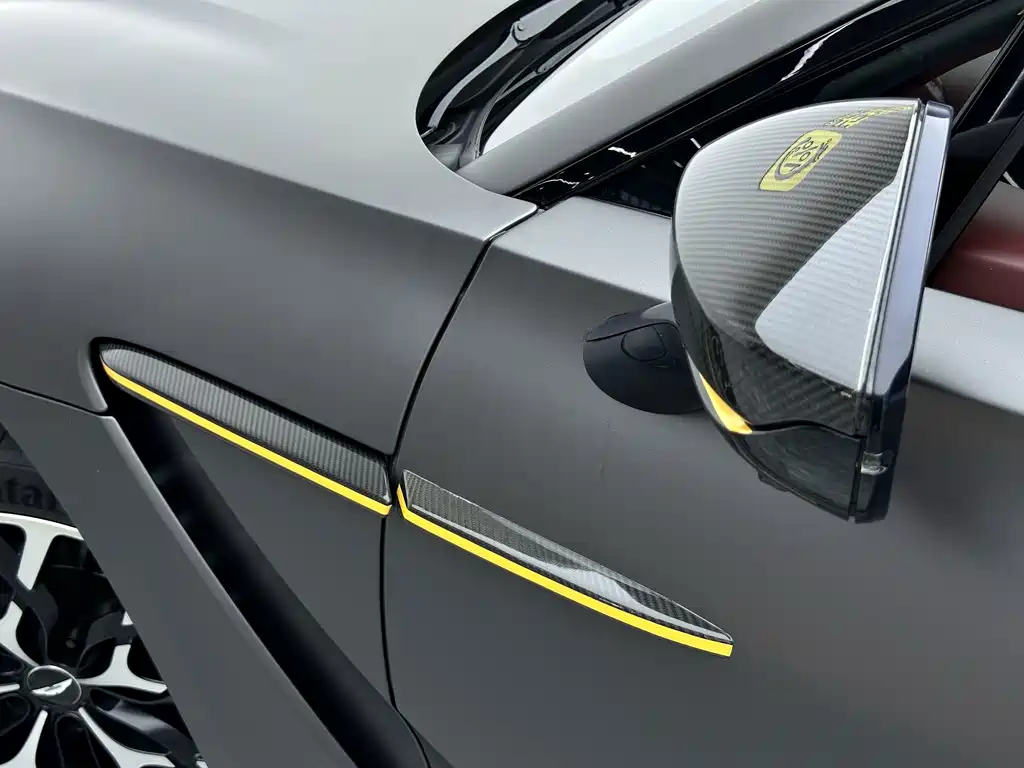 Aston Martin DBX 2020 — фото 10