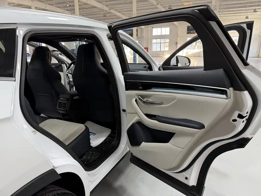 BYD PLUS New Energy 2022 — фото 13