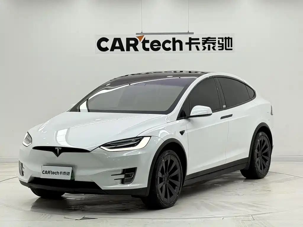 Tesla Model X 2019 — фото 1