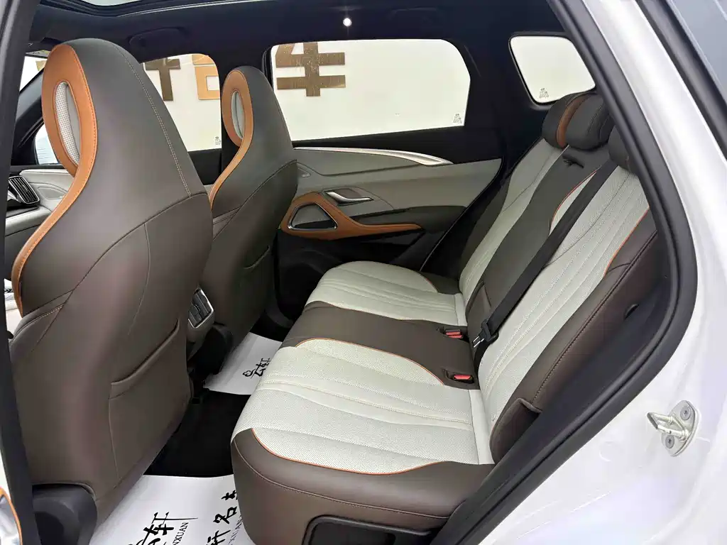 BYD Pro New Energy 2023 — фото 10