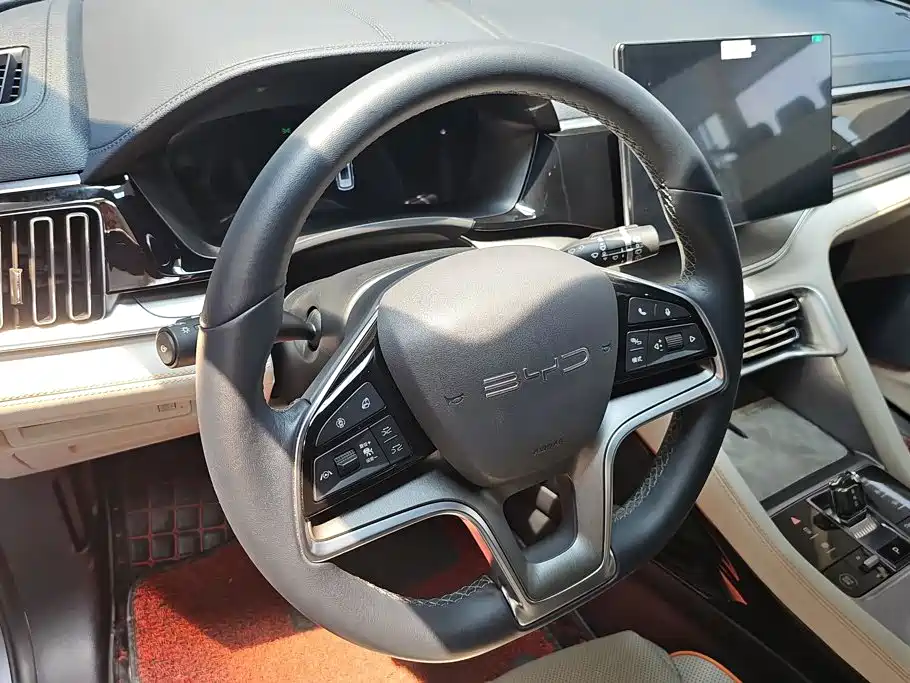 BYD Song PLUS New Energy 2023 — фото 15