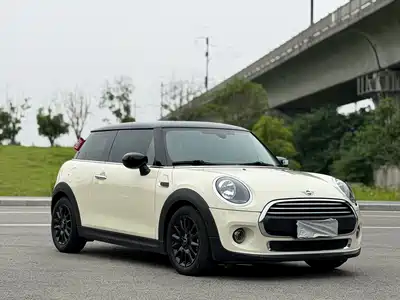 MINI MINI 2020