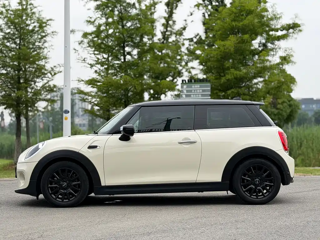 MINI MINI 2020