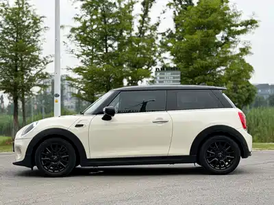 MINI MINI 2020