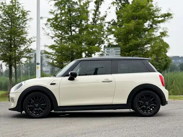 MINI MINI 2020