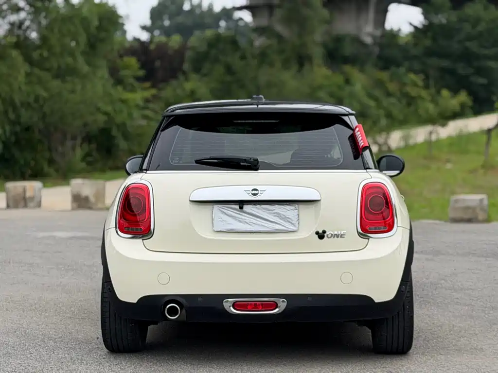 MINI MINI 2020