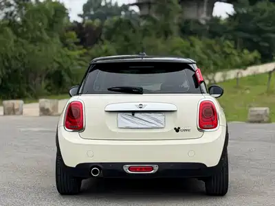MINI MINI 2020