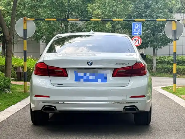 BMW 5 Series 2019