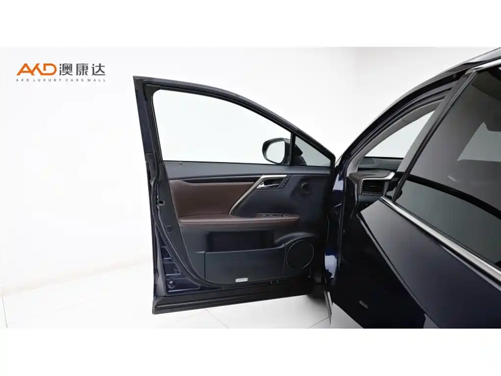 Lexus RX 2020 — фото 10
