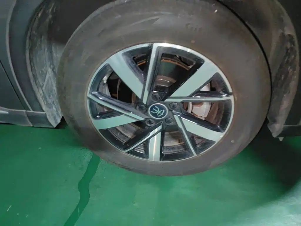 BYD Song Pro New Energy 2025 — фото 24