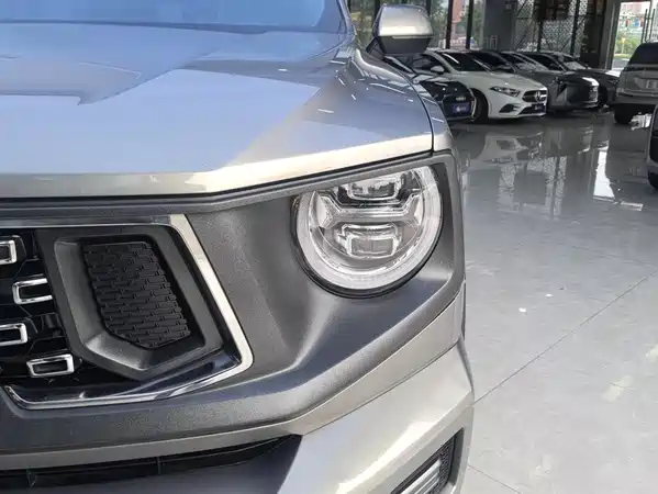 Haval Dog PLUS 2024