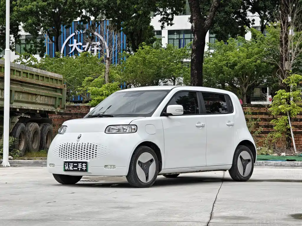 Ora White Cat 2022