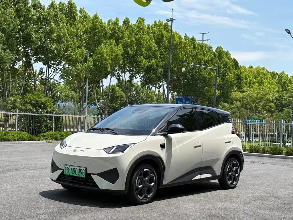 BYD Seagull 2025