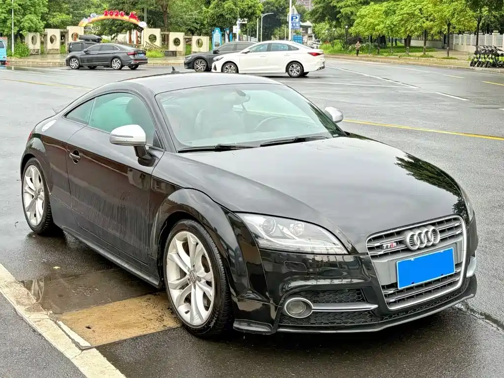 Audi TTS 2013