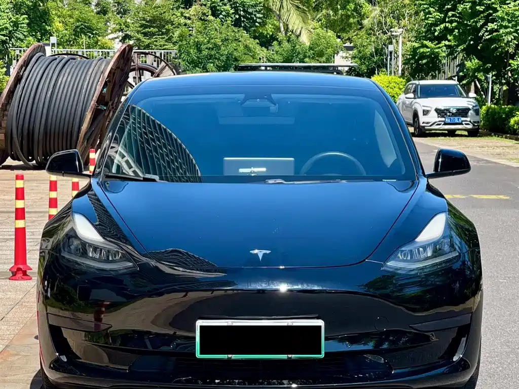Tesla Model 3 2021 — фото 2
