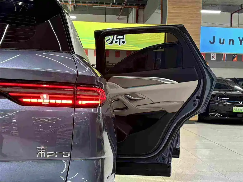 BYD Pro New Energy 2023 — фото 18