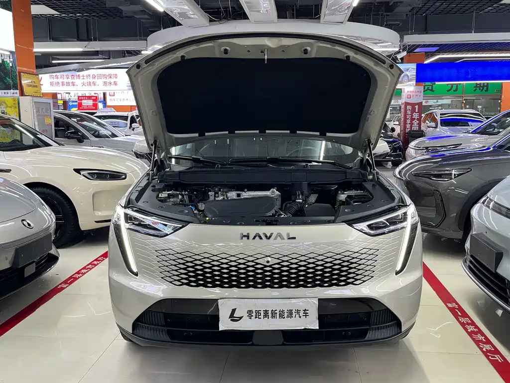Haval Xiaolong MAX 2023 — фото 16