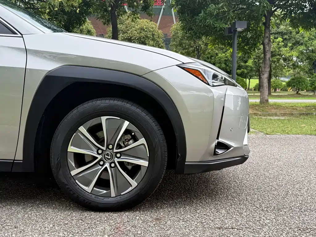 Lexus UX New Energy 2020 — фото 8