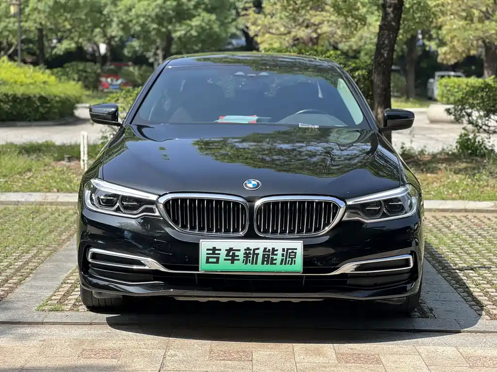 BMW 5 Series New Energy 2020 — фото 2