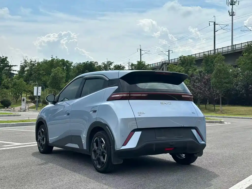 BYD Seagull 2024