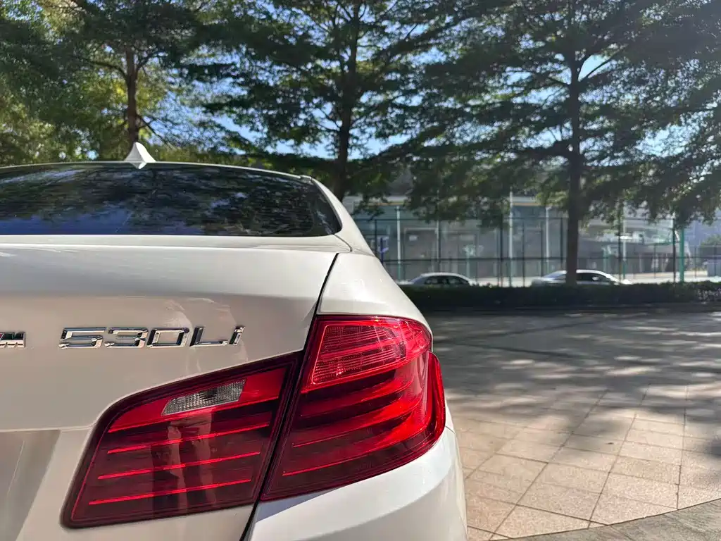 BMW 5 Series 2014 — фото 12