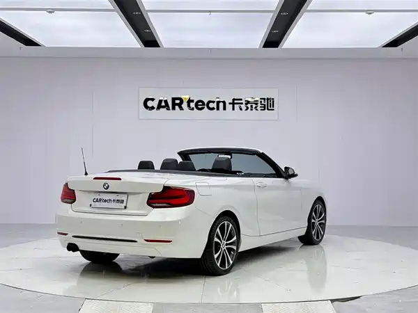 BMW 2 Series 2019