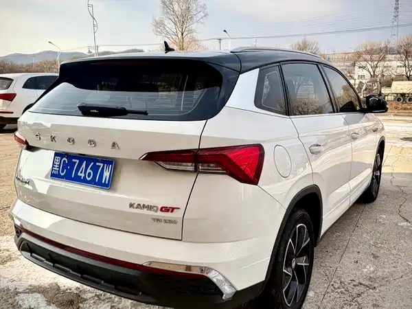 Skoda Kamiq 2021
