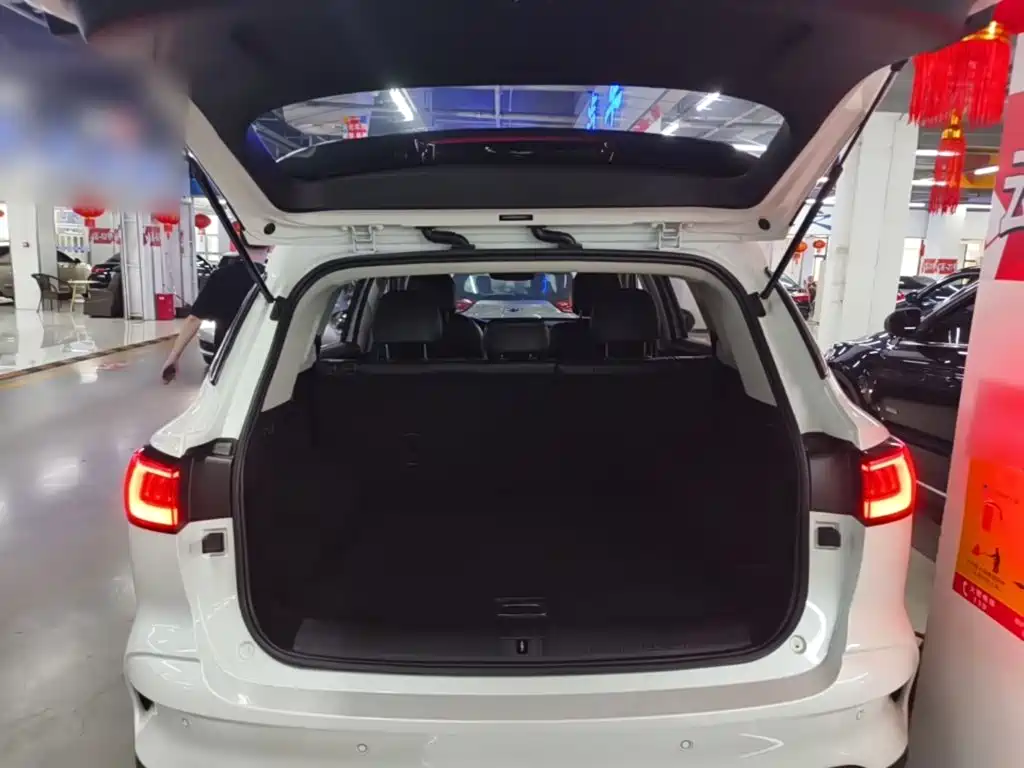 Roewe RX5 MAX 2020 — фото 19
