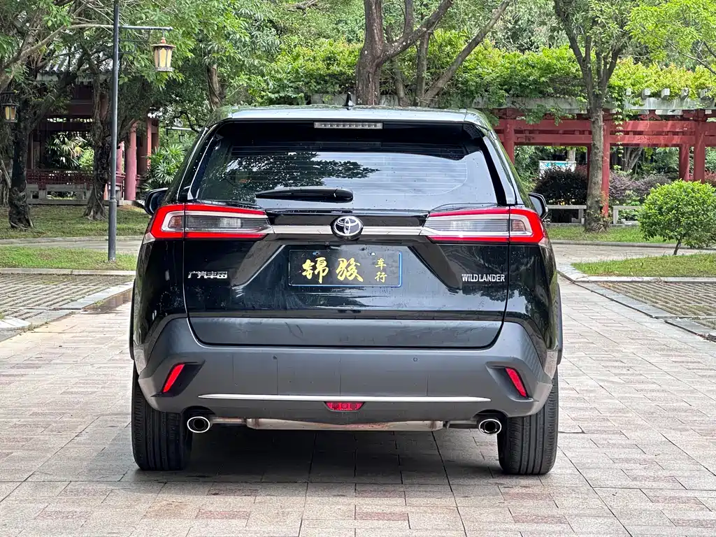 Toyota Wildlander 2021