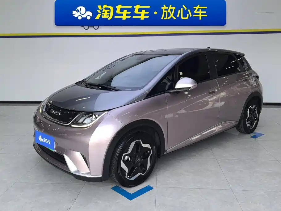 BYD Dolphin 2022