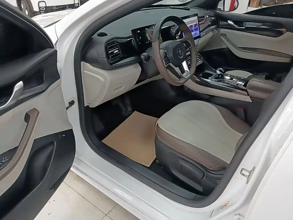 BYD Qin PLUS 2024 — фото 16