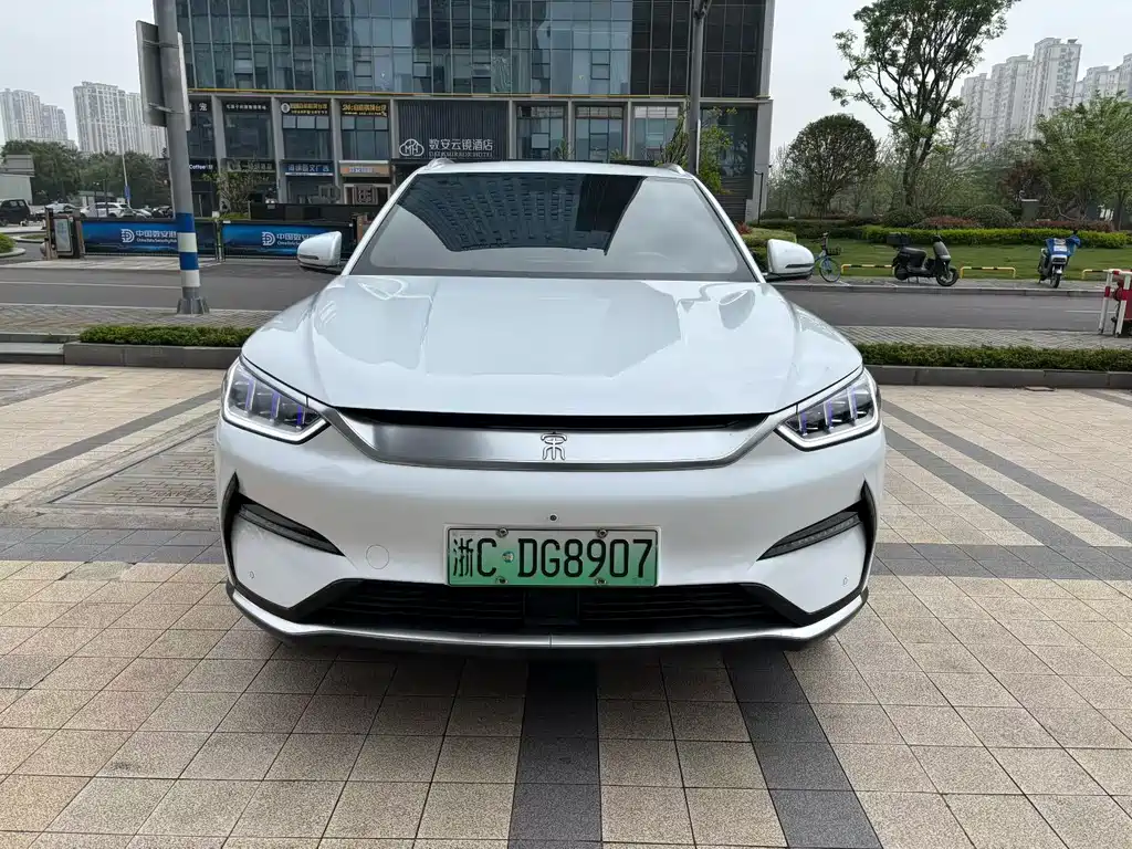 BYD PLUS New Energy 2021 — фото 1