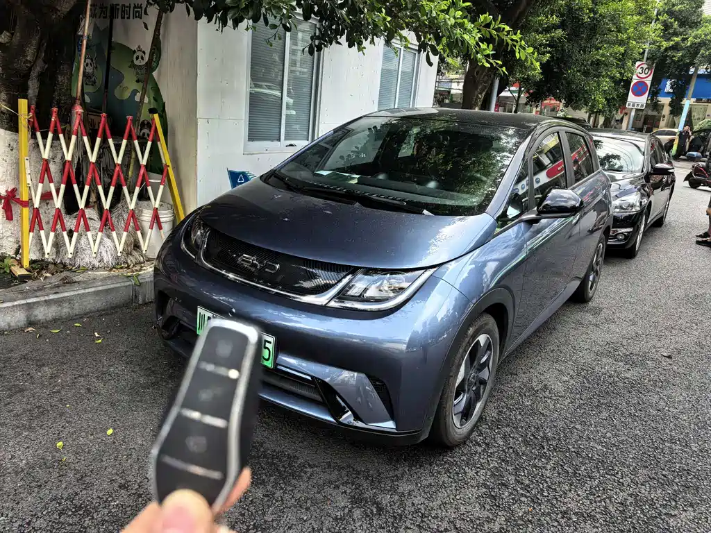 BYD Dolphin 2024