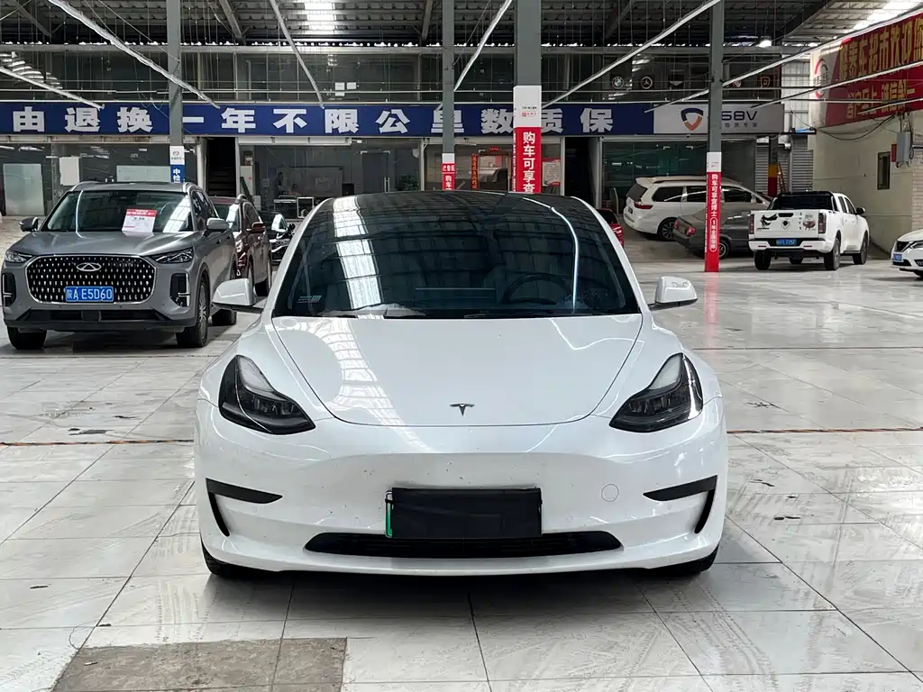 Tesla Model 3 2021 — фото 2