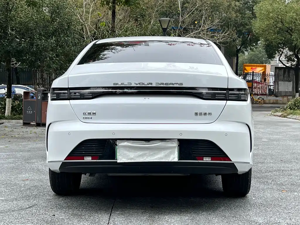 BYD Destroyer 05 2023 — фото 4